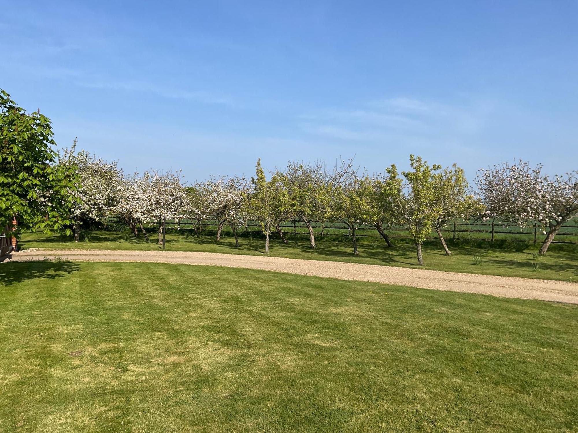 Pheasant Suites Colchester Bagian luar foto
